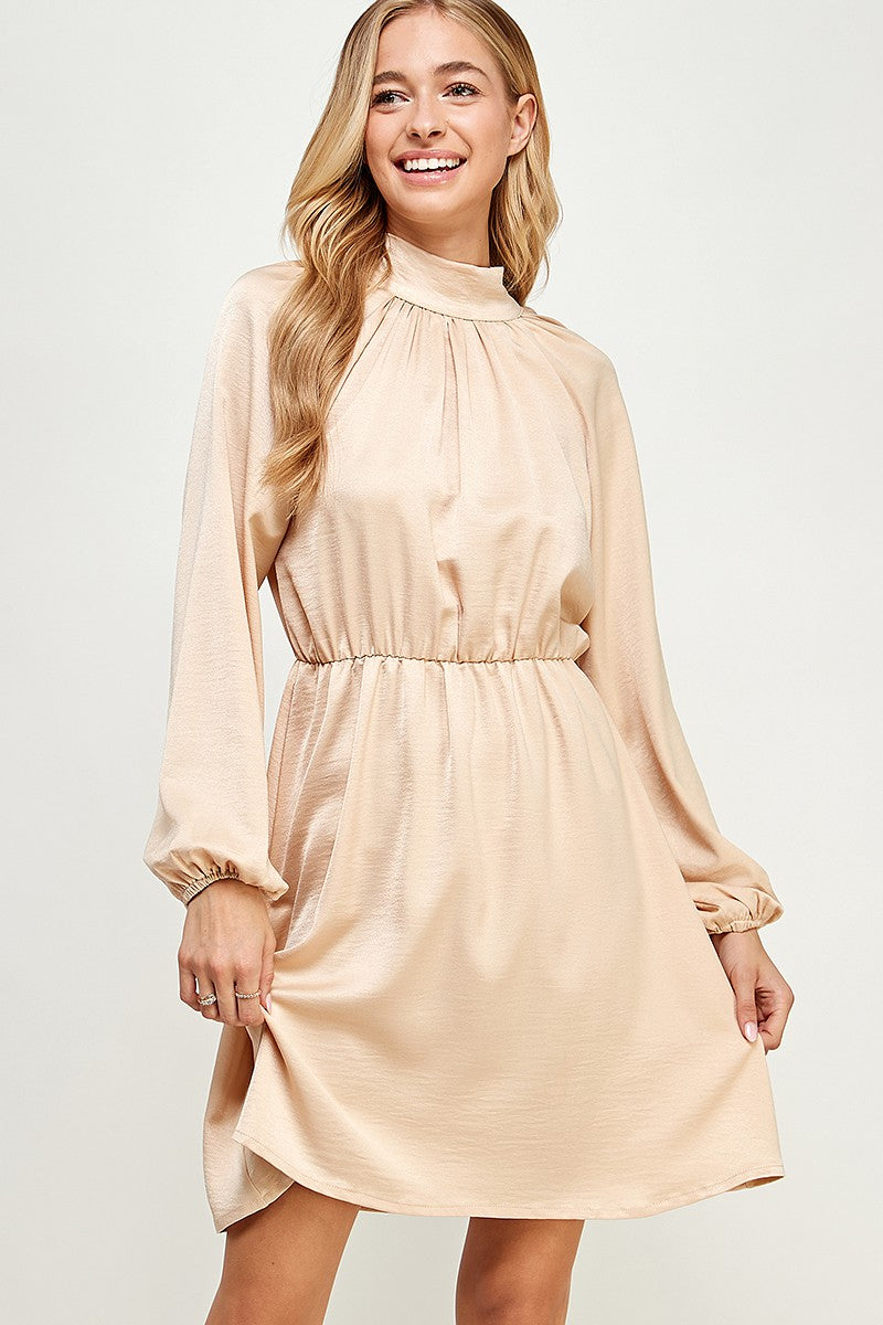 Solid High Neck Dress
