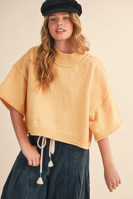Marled Knit Mock Neck Short Sleeve Sweater